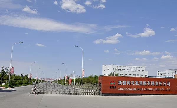 塔林鼎尚快報丨新疆梅花集團攜塔林鼎尚公司進行小碗菜廚藝大比拼啦!